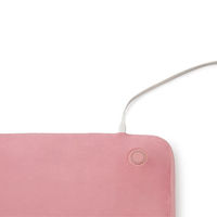 アイリスオーヤマ ヒートクッション HW-IC4-P 1個