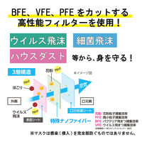アイリスオーヤマ 医療用デイリーフィットマスク ナノエアーフィルタープラス ふつうサイズ SPN-DNI30L 1箱（30枚入）