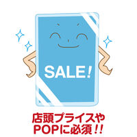 アスカ ラミネートフィルム 名刺 100ミクロン BH106 20枚 BH-106 1個