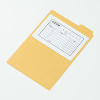 コクヨ カットフォルダー1/3カットフォルダー B6-3F-3N 10冊