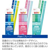 トンボ鉛筆 かきかた鉛筆 プレーンN04 2B 12本入 KB-KPN04-2B 1セット(2箱)