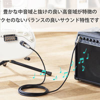 アナログケーブル シールドケーブル φ6.3(L字)-φ6.3 3m 楽器用 黒 DH-SHL30BK エレコム 1個