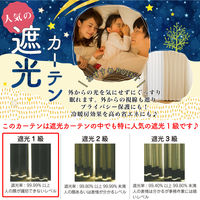 マッチングジャパン 【5cm単位】オフィスや店舗向け｜防炎1級遮光カーテン<グリーン>_幅120cmｘ丈238cm（直送品）