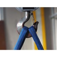 大洋製器工業 TAIYO インカ シンスリング エンドレス10t×5m(1016020) INKTN-10X5 1本 700-3139（直送品）