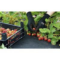 おたふく手袋 おたふく ソフキャッチ 13G 袖口ロング ウレタンコート A-348-S 1セット(5双) 565-1183（直送品）