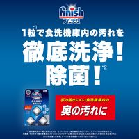 フィニッシュ 食洗機庫内強力洗浄タブレット 1パック（3個入） 食洗機用洗剤 レキットベンキーザー