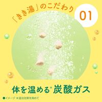 アース製薬 入浴剤 きき湯 食塩炭酸湯 スプーンなし2回分増量 420g 442328 1個