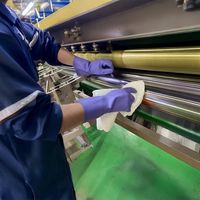 東和コーポレーション ビニスター 塩化ビニール手袋 ビニスターソフト602 S 602-S 1双 695-0687（直送品）