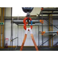 大洋製器工業 TAIYO フレキシブルリンク 2t(1015286) FXL-2 1個 581-8339（直送品）