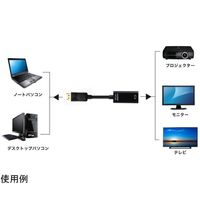 Trimate DisplayPort to HDMI 変換アダプタ TR-HDA004-BK 1個 67-4918-48（直送品）