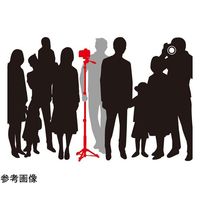 ベルボン 三脚 POLE POD EX FLUIDHEAD 68-7034-77 1本（直送品）