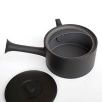 南海通商 急須 460ml ロクサン tokoname 平型 ブラック 476137 1個（直送品）