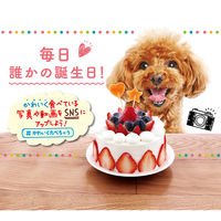 かわいくたべちゃう！ポップスティック 11本入 1袋 犬用 おやつ