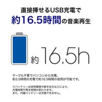 グリーンハウス MP3プレイヤー KANA UBS(16GB)ホワイト GH-KANAUBS16-WH 1個