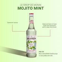 業務用 割り材 モナン モヒートミント・シロップ 700ml 6本 MONIN 割材 ドリンクベース フレーバーシロップ