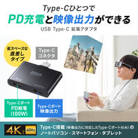 サンワサプライ USB TypeーC 拡張アダプタ(アダプタタイプ・PD対応) AD-ALCCPD01 1個