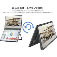 JAPANNEXT 14インチ デュアルモバイルモニター JNーDMDーIPS14WX 1台