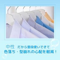Ka カーポッド 部屋干し ボール型洗濯洗剤 超特大 1個（84粒入） 王子製薬