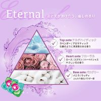 arFUM Eternal アフュ―ム エターナル ボール型洗濯洗剤 本体 1個（20粒入） 王子製薬