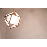 新洋電気 吟 gin ホワイトフォール AP848 1台（直送品）