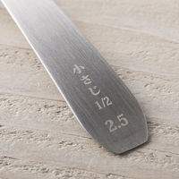 計量スプーン 小さじ1/2 オーバル型 セレクト100 000DH3133 1個 食洗機可 貝印