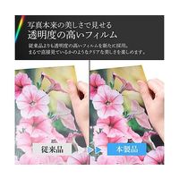 ハクバ写真産業 プロフェッショナルプリントアルバム V A4(ヨコ)サイズ 40枚収納 ブラック ADP5-A4YBK 1冊（直送品）