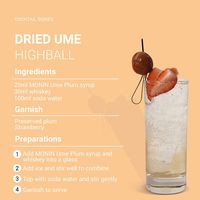 業務用 割り材 モナン うめプラム・シロップ 700ml 1本 MONIN 割材 ドリンクベース フレーバーシロップ