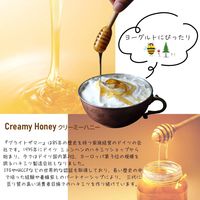 ブライトザマー クリーミーハニー 500g（菜の花はちみつ）1個 富士貿易 蜂蜜　ハチミツ