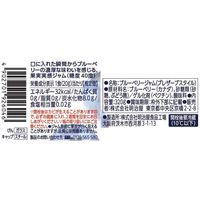 明治屋 果実実感 つぶつぶ ブルーベリージャム 320g 1セット（1個×3）