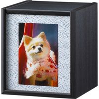 【軒先渡し】朝日木材加工 ペット仏壇 クロシェ 幅160×奥行160×高さ177mm グレーブラック CLP-1816BX-GB 1個（直送品）