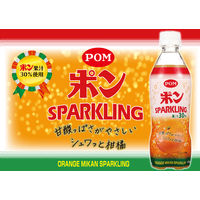 えひめ飲料 ポンスパークリング（48個）（直送品）