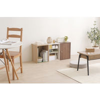 アイリスオーヤマ 棚 本棚 カラーボックス 1段 収納ボックス 幅415×奥行290×高さ305mm ナチュラル CX-1