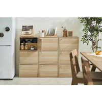 アイリスオーヤマ 棚 本棚 扉付き カラーボックス 3段 収納ボックス 幅415×奥行290×高さ880mm ナチュラル CX-33D