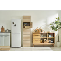 アイリスオーヤマ 棚 本棚 扉付き カラーボックス 5段 A4ファイル対応 幅415×奥行290×高さ1680mm ナチュラル CX-55FD