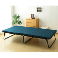 アイリスオーヤマ センターフィットマットレス MAF5-S 1個