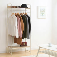 アイリスオーヤマ スタイルハンガー2WAYタイプ プレミアム(メッシュパネル付き) PI-B4 ホワイト 1個