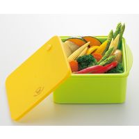 イモタニ ヘルシーレンジスチーマー KB-501 1セット(6個)（直送品）