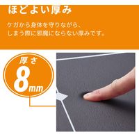 エレコム エクリアスポーツ/ガイドライン付トレーニングマット/ブラック HCF-YM08BK 1個