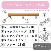 プロ仕様カーテンレール「3.00m 天井付け シングル・ライトG」 nexty-300ts-rg-2 2セット トーソー　１セット(２本)（直送品）