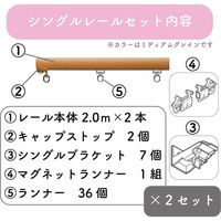 プロ仕様カーテンレール「4.00m 正面付け シングル・ライトG」 nexty-400ss-rg-2 2セット トーソー　１セット(２本)（直送品）