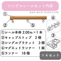 プロ仕様カーテンレール「2.00m 天井付け シングル・ライトG」 nexty-200ts-rg-4 4セット トーソー　１セット(４本)（直送品）