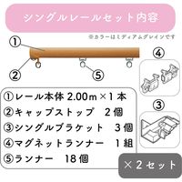 プロ仕様カーテンレール「2.00m 正面付け シングル・ミディアムG」 nexty-200ss-mg-2 2セット トーソー　１セット(２本)（直送品）