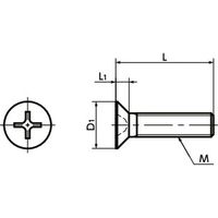 鍋屋バイテック 樹脂ねじ（十字穴付き皿小ねじ） SPE-M6-12-F　1袋(10本入)（直送品）