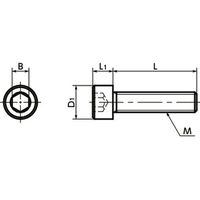 鍋屋バイテック会社 樹脂ねじ(六角穴付きボルト) SPA-M6-10-C 1袋(10本入)（直送品）