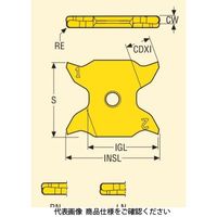 セコ・ツールズ・ジャパン 旋削 溝入れ用チップ X4GK2503M0ー0100LNーRCP500 1セット(2個)（直送品）