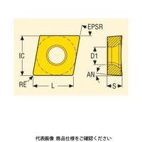 旋削 内径用チップ CCGT060201ーMF2:CP500 CCGT060201-MF2CP500 1セット(10個)（直送品）