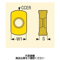 Seco Tools フライス用チップ LOHT060310TR-M07MP2500（直送品）