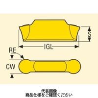 セコ・ツールズ・ジャパン 旋削 MDT用チップ LCGF1605M0ー0500ーRPCP200 1セット(10個)（直送品）