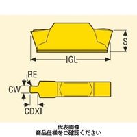 旋削 MDT用チップ LCGN160602ー0600ーFG:CP500 LCGN160602-0600-FGCP500 1セット(10個)（直送品）