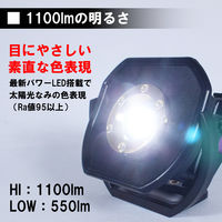 長輝LITETEC LED投光器 充電式防水10W R-01 1個